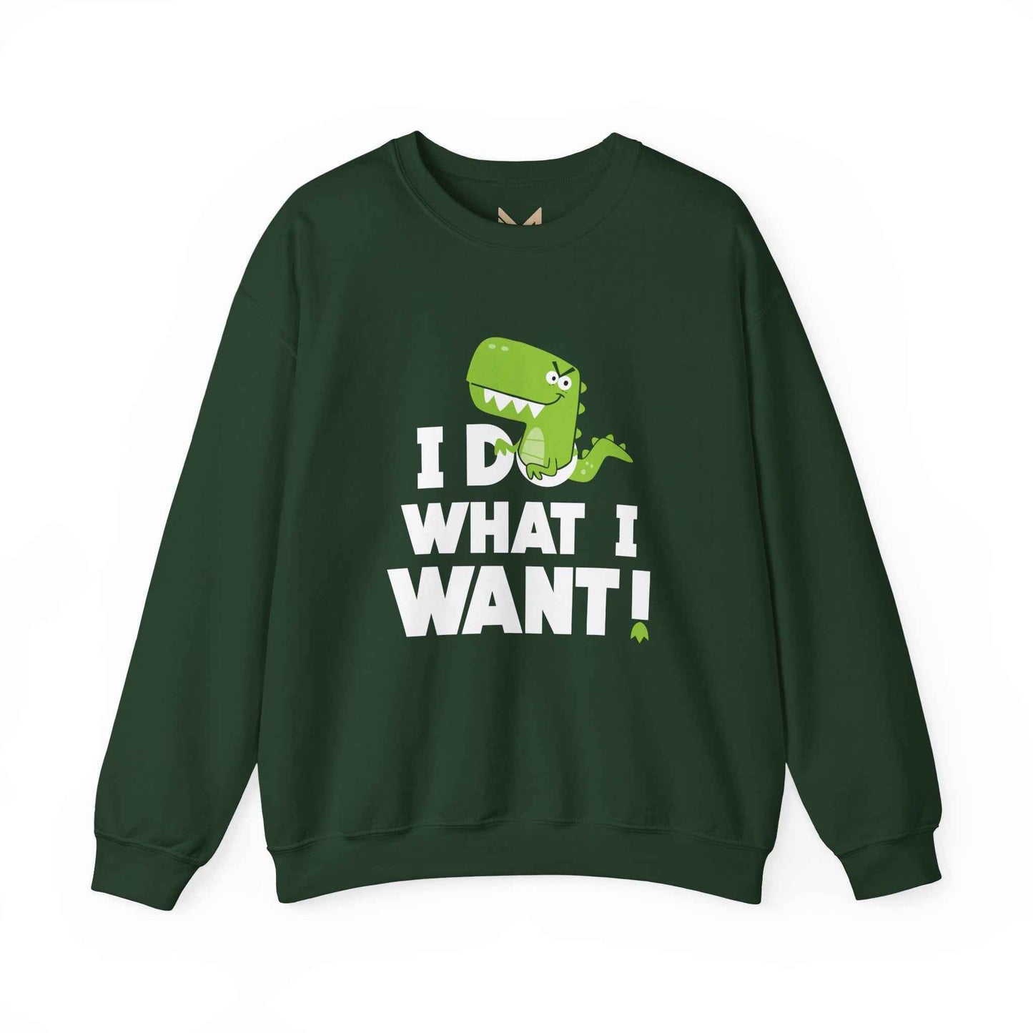 Dinosaur Quote Sweatshirt, Funny Crewneck, Gifts for Kids & Teens, Birthday or Holiday Apparel, Cute Graphic Sweater
