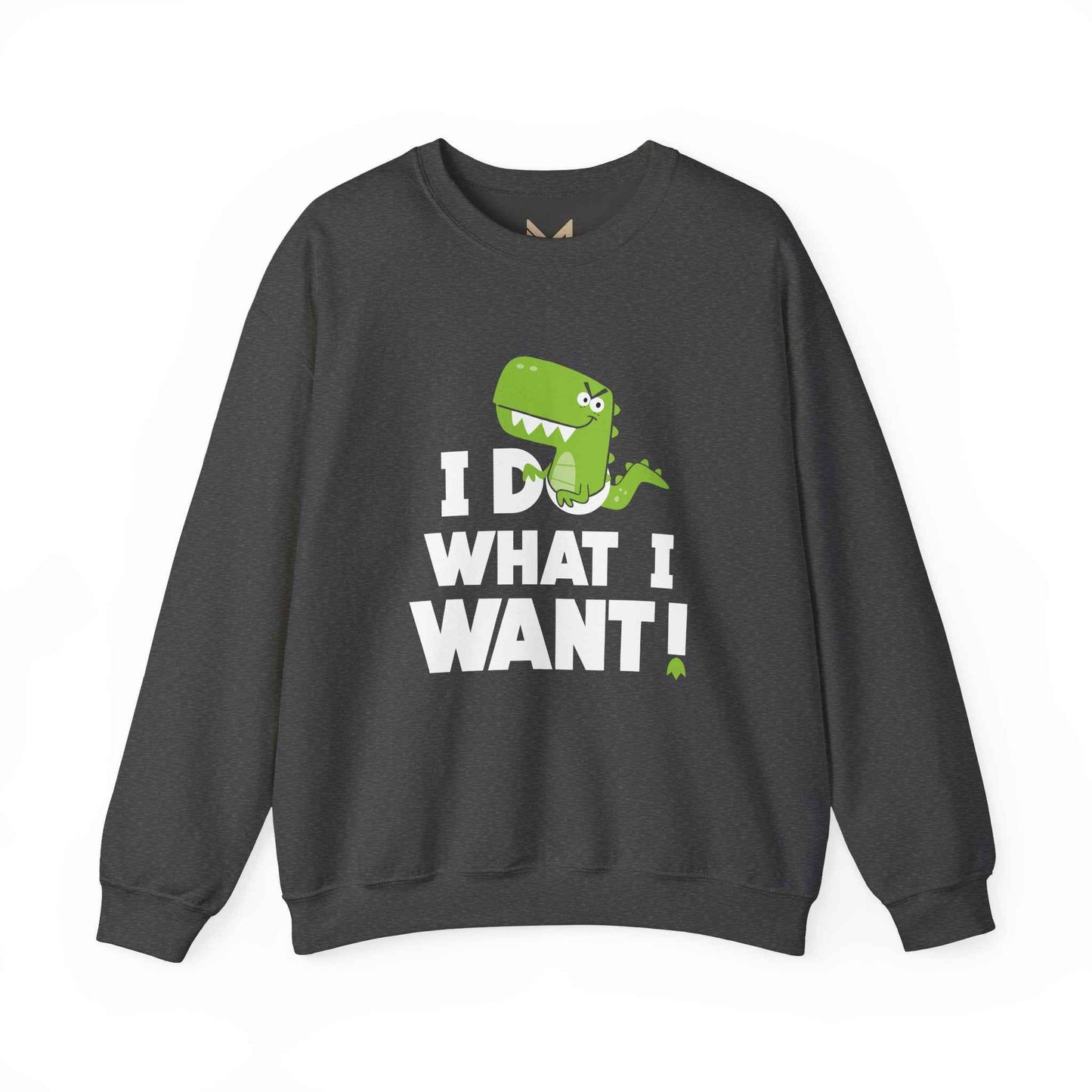 Dinosaur Quote Sweatshirt, Funny Crewneck, Gifts for Kids & Teens, Birthday or Holiday Apparel, Cute Graphic Sweater