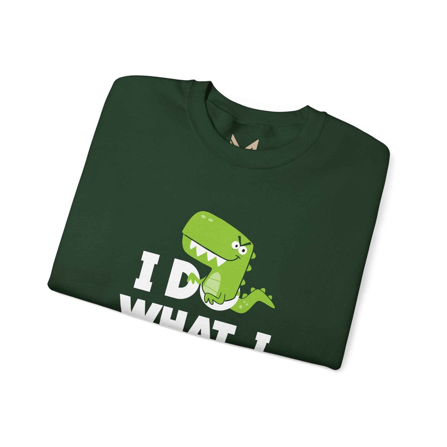 Dinosaur Quote Sweatshirt, Funny Crewneck, Gifts for Kids & Teens, Birthday or Holiday Apparel, Cute Graphic Sweater