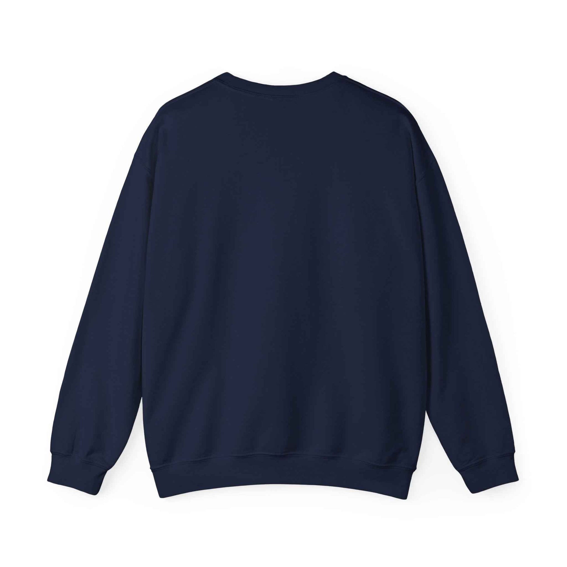 Single and Fabulous Sweatshirt | Cute Casual Crewneck | Valentine's Day Gift | Perfect for Singles | Everyday Comfort | Relaxed Fashion