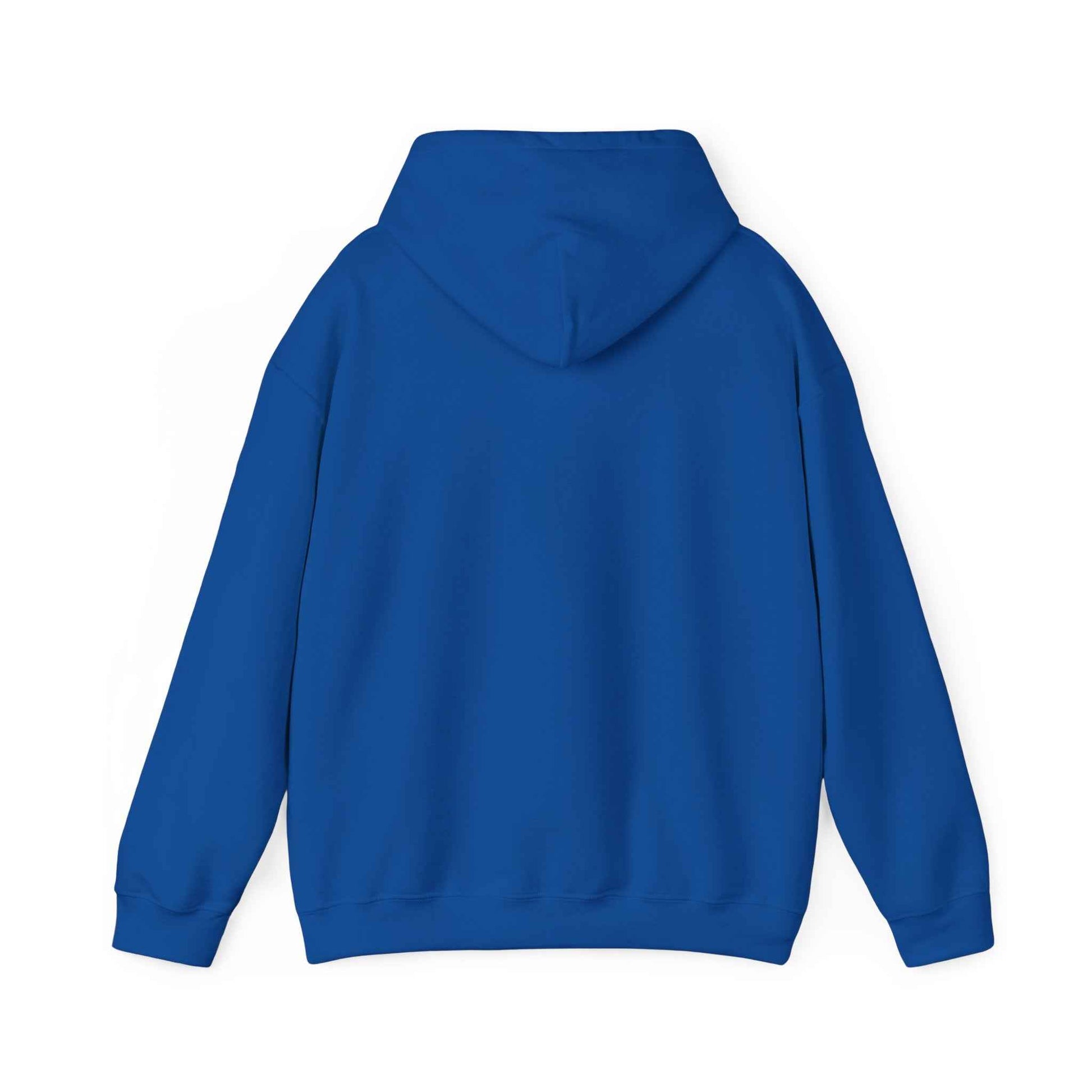 Bronx-themed Unisex Hoodie, Cozy Sweatshirt, Streetwear, Gift for Him/Her, New York Apparel, Young & Reckless Style